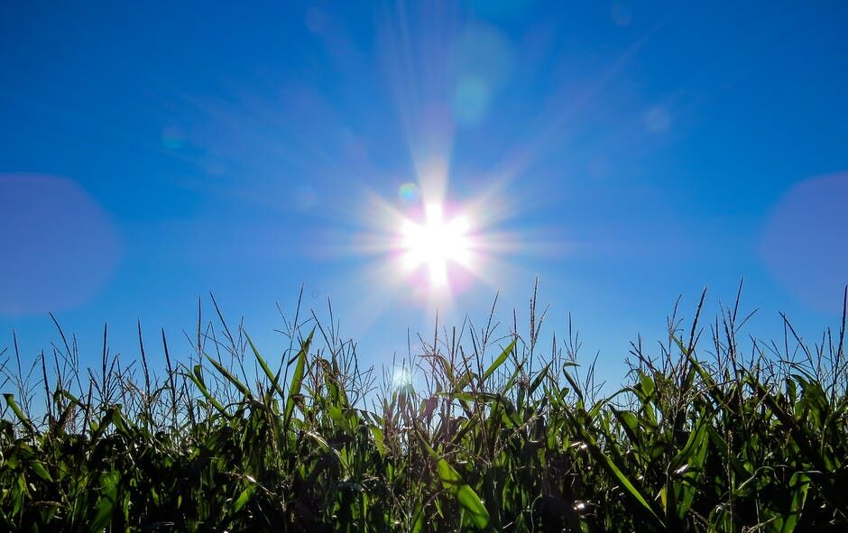 پرتوهای خورشید خطر زایمان زودرس را کاهش می‌دهد