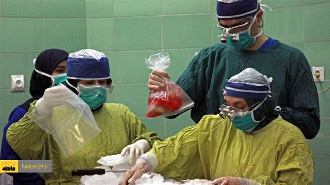 زن رفسنجانی سه بیمار را از مرگ نجات داد