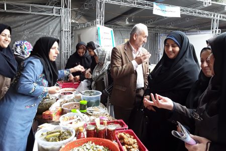اجرای ۲۲۴ برنامه در هفته زن مازندران