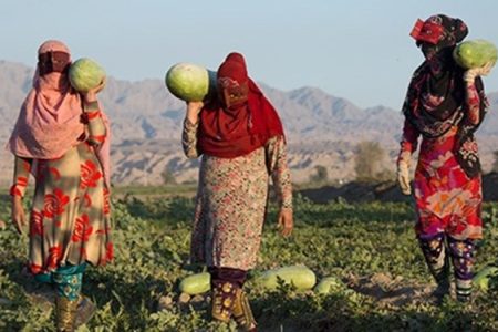 توسعه صندوق‌های خرد زنان روستایی سیستان و بلوچستان