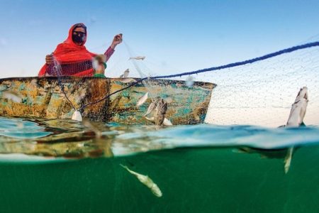 زنان ماهیگیر در جزیره هنگام