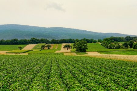 در استرالیا زنان هیچ ارثی از خانواده نمی‌برند!