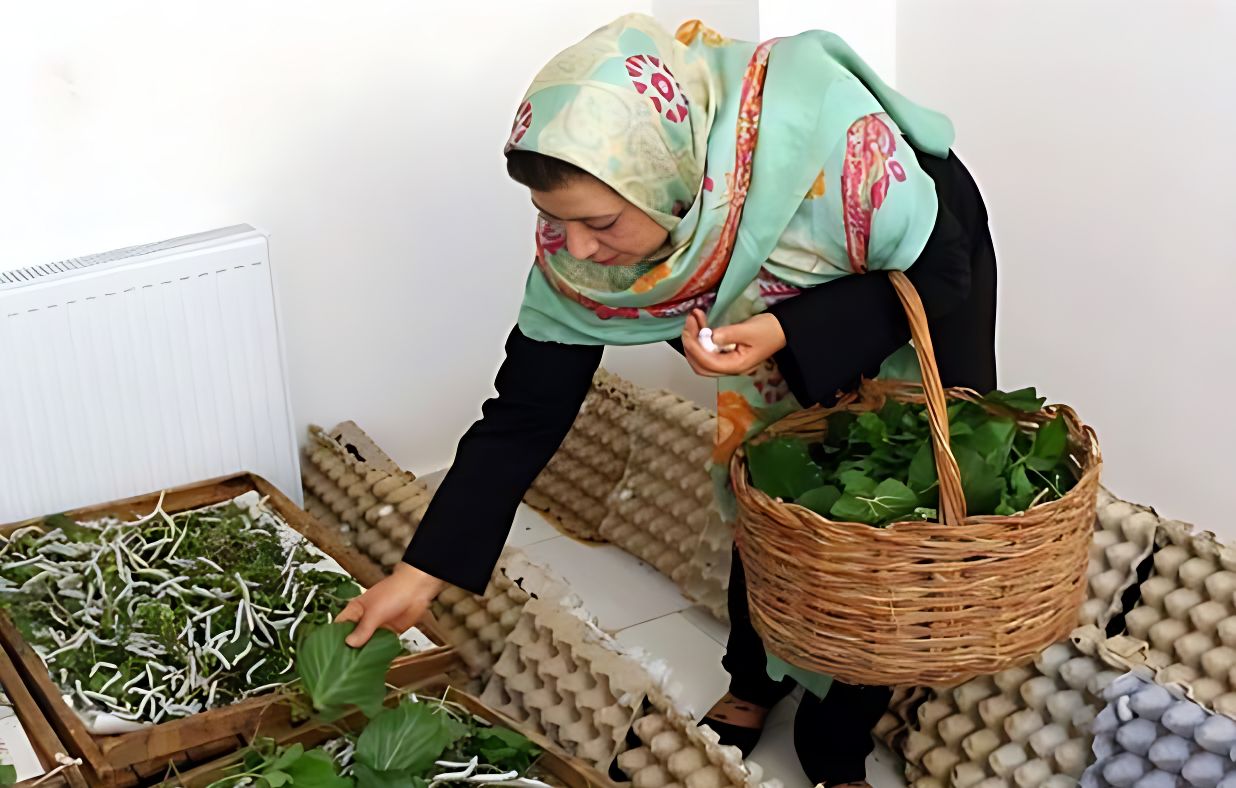 مشاغل خانگی در قرق زنان