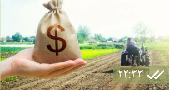 مالکیت زمین؛ آخرین سنگر مردسالاری در جوامع پیشرفته
