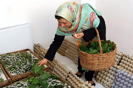 ۸۰ درصد اقتصاد خانگی در دست زنان است