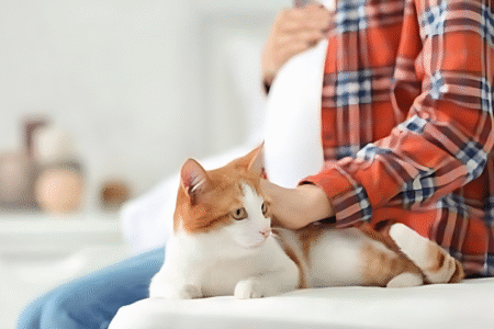 حیوان خانگی علیه جنین، افزایش ناهنجاری های جنینی در اثر انگل های حیوان خانگی