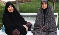 طرح تربیت سه هزار مشاور برای سالمندان