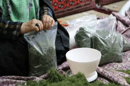 فرصت طلایی مشاغل خانگی برای توانمندسازی زنان