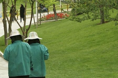 روایت زنان کارگر در فضای سبز شهر مشهد