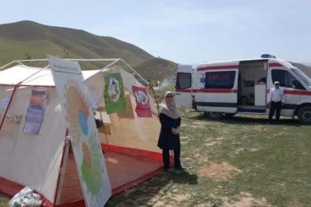 لیلا قنبری، بهورز نمونه کشوری