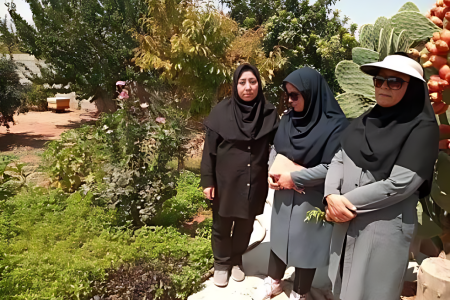 راه‌اندازی باغچه سلامت به همت بانوان روستایی در بیضا