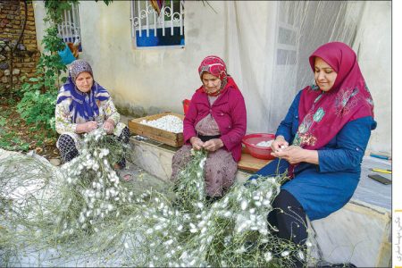 نوغان، نگین بکر تقویت اقتصاد روستایی به دست زنان