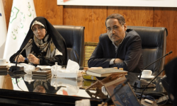 الگوی مدیریتی زنان باید شبکه‌ای باشد نه هرمی