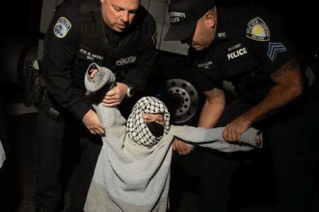 زن، زندگی، آزادی به سبک آمریکا