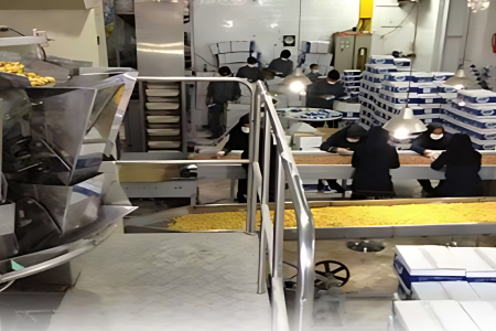 داستان موفقیت بانوی کارآفرین ملایری در صنعت بسته‌بندی مواد غذایی