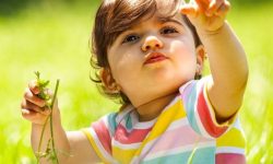 کاهش شدید نرخ فرزندآوری در ایران | گیلان در لیست سیاه جمعیتی قرار گرفت