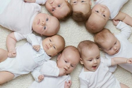 ۱۱ هزار چندقلو در ۷ ماه ابتدای سال