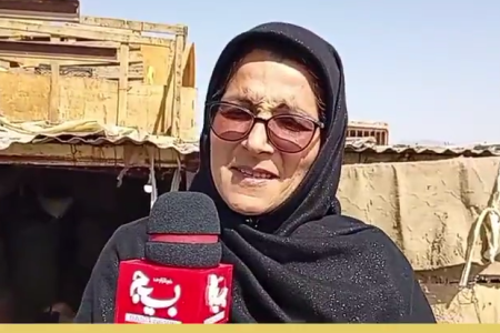 با سه جوجه، قصه یک مزرعه آغاز شد