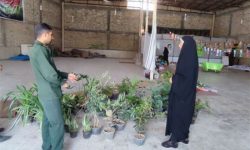 اقتصاد مقاومتی با طعم مربای خانگی و دوخت پارچه؛ ابتکار عمل زنان دبیران