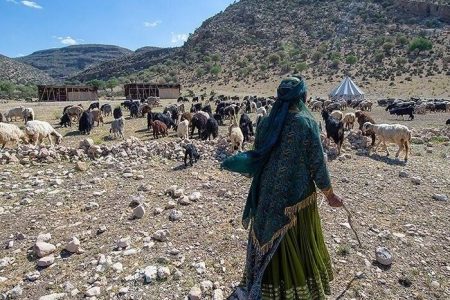 مدیران نامرئی کوچ؛ نگاهی به نقش حیاتی و نادیده زنان عشایر در اقتصاد و فرهنگ