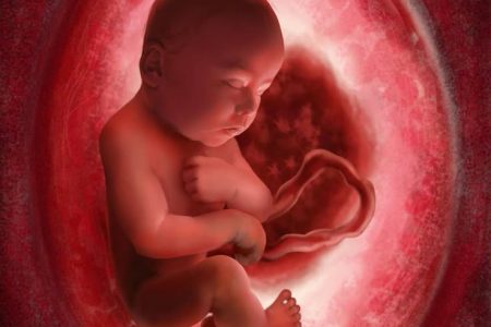 هشدار درباره صفحه اینستاگرامی آموزش سقط جنین در خانه؛ ردپای یک سازمان کانادایی