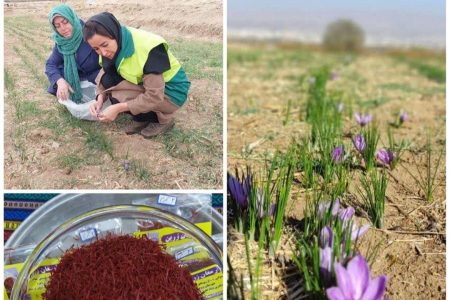 کارآفرینی خانوادگی در بروجرد:اشتغال‌زایی برای زنان و جوانان