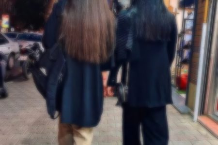 روند تقنینی مقابله با ناهنجاری‌های اجتماعی در حوزه عفاف و حجاب