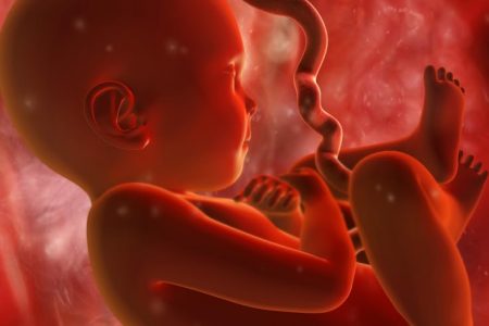 روایت یک پرستار از اتاق عمل: «مجبور شدم جنین ۱۶ هفته‌ای را تکه‌تکه کنم»